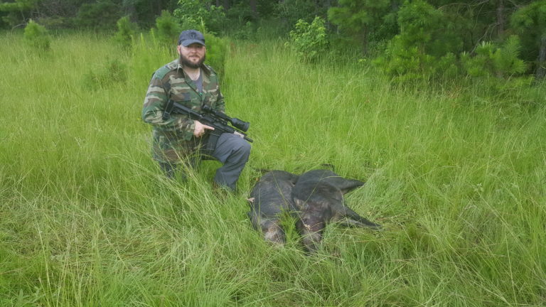 Hog Hunter with two pigs