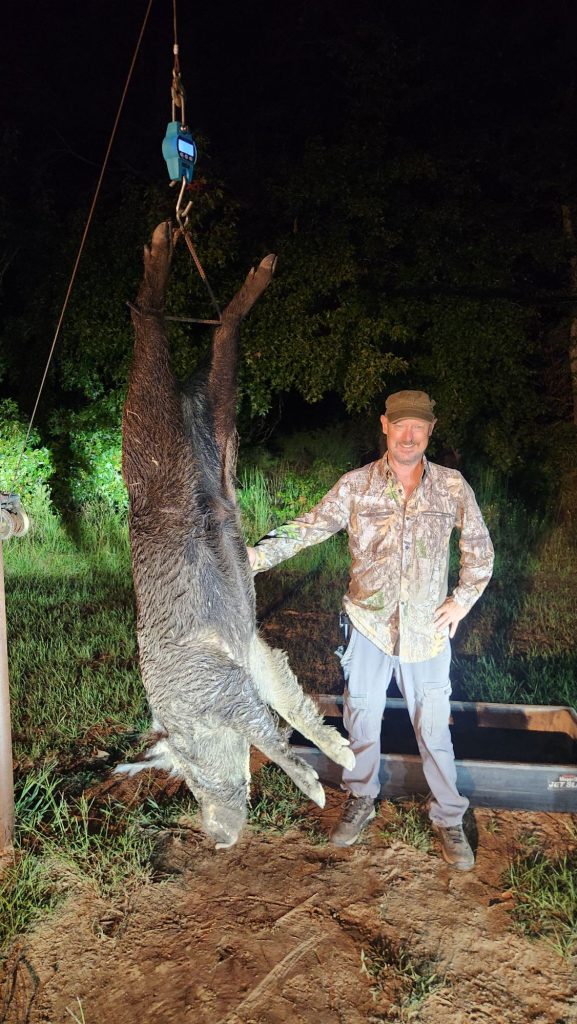 Texas Hog Hunting Outfitter